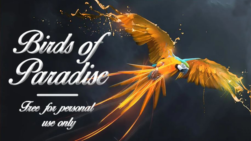 Birds of Paradise Font Family Free Download