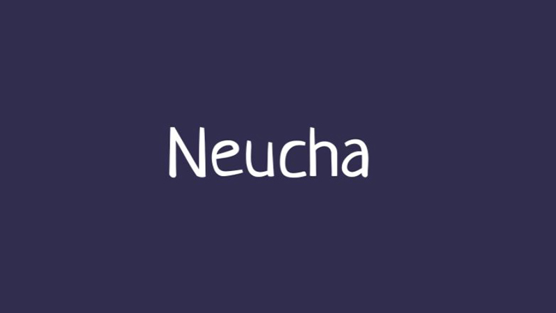 Neucha Font Family Free Download