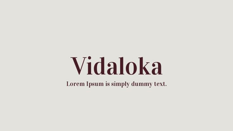 Vidaloka Font Family Free Download