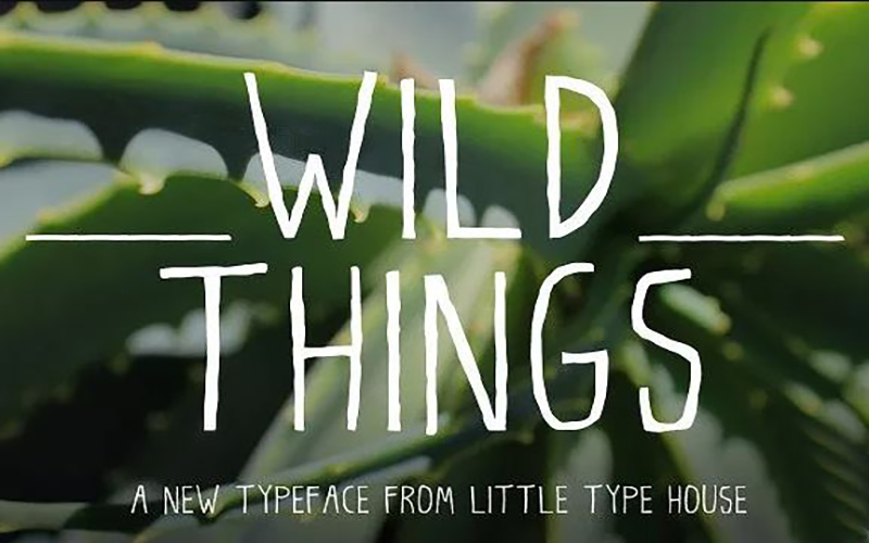 Where The Wild Things Are Font Family Free Download