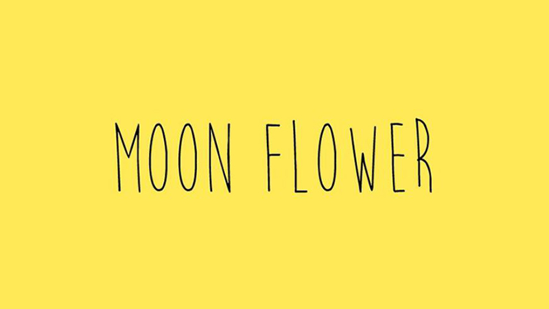 Moon Flower Font Family Free Download